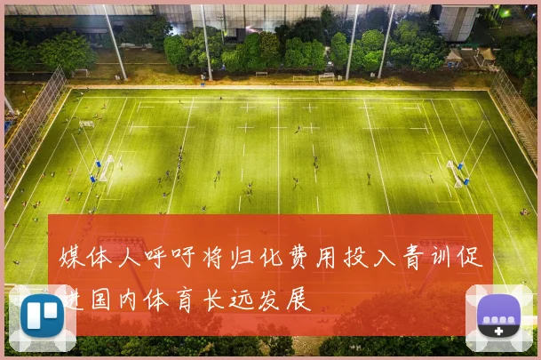 媒体人呼吁将归化费用投入青训促进国内体育长远发展
